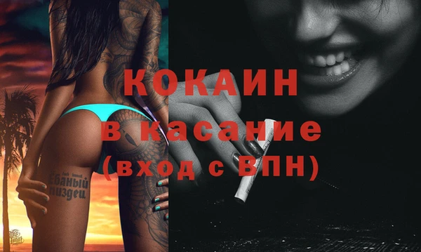 ECSTASY Алзамай